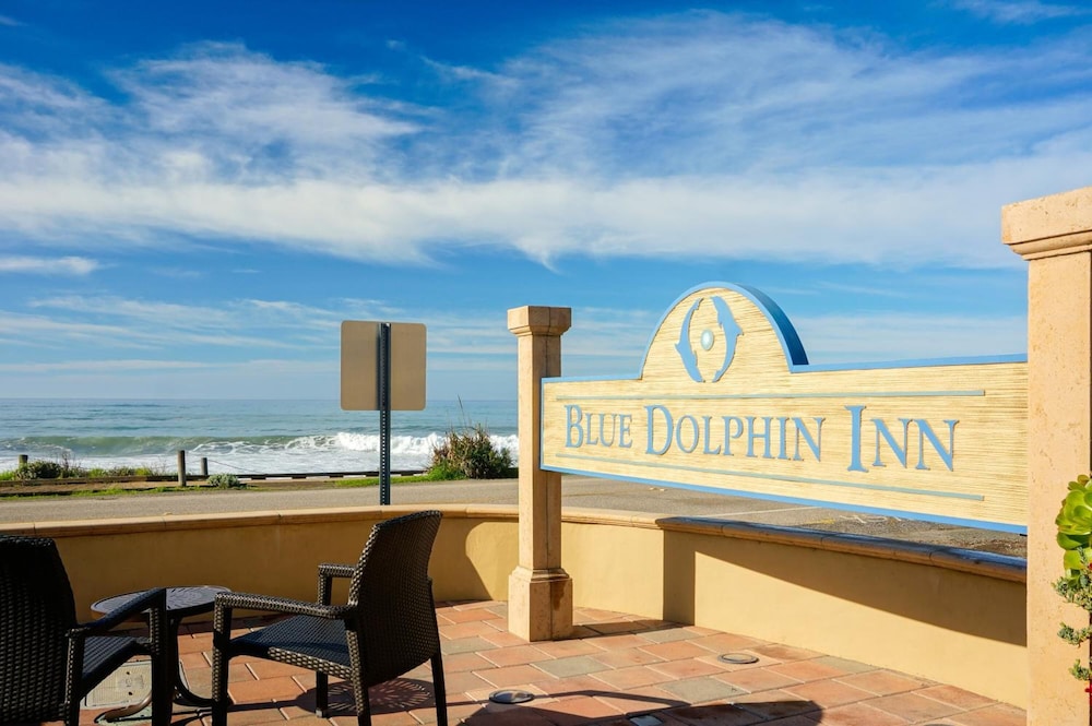 Blue Dolphin Inn - photo 34