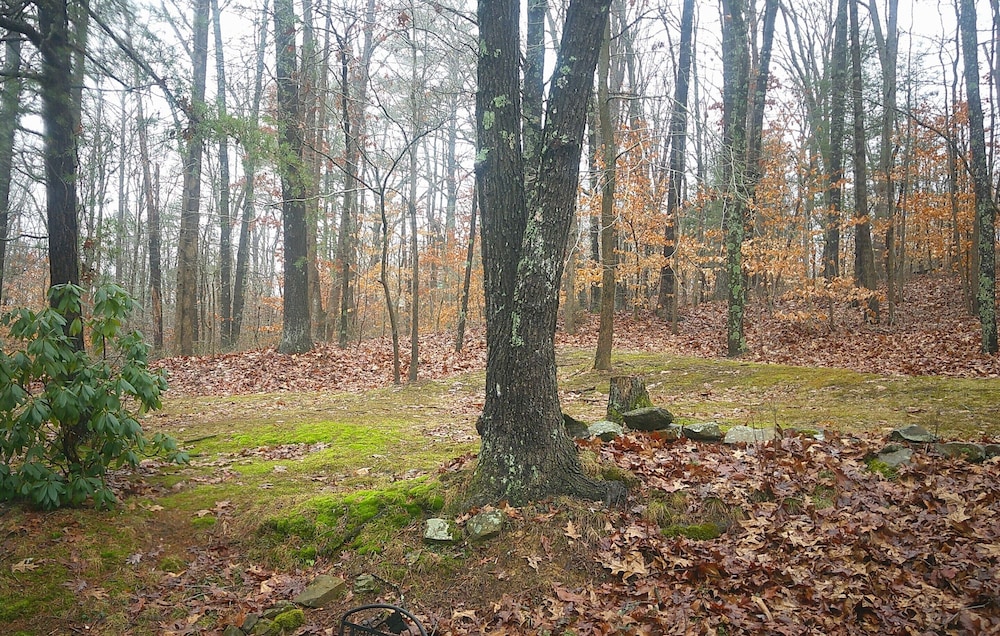 Lil Black Bear Inn - photo 151