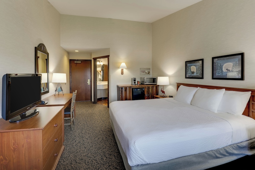 Stoney Creek Hotel Columbia - photo 10
