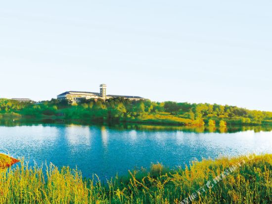 Donghai Forest Hot Spring Resort — hotel in Donghai