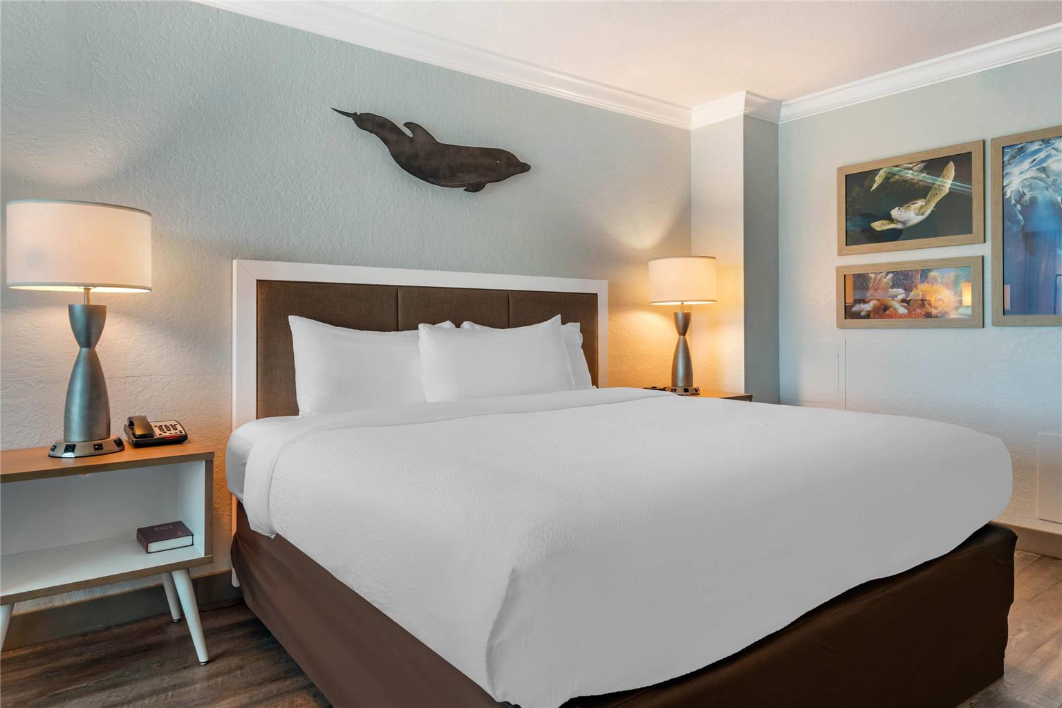 Dolphin Sands Clearwater Beach an Ascend Collection Hotel - photo 13