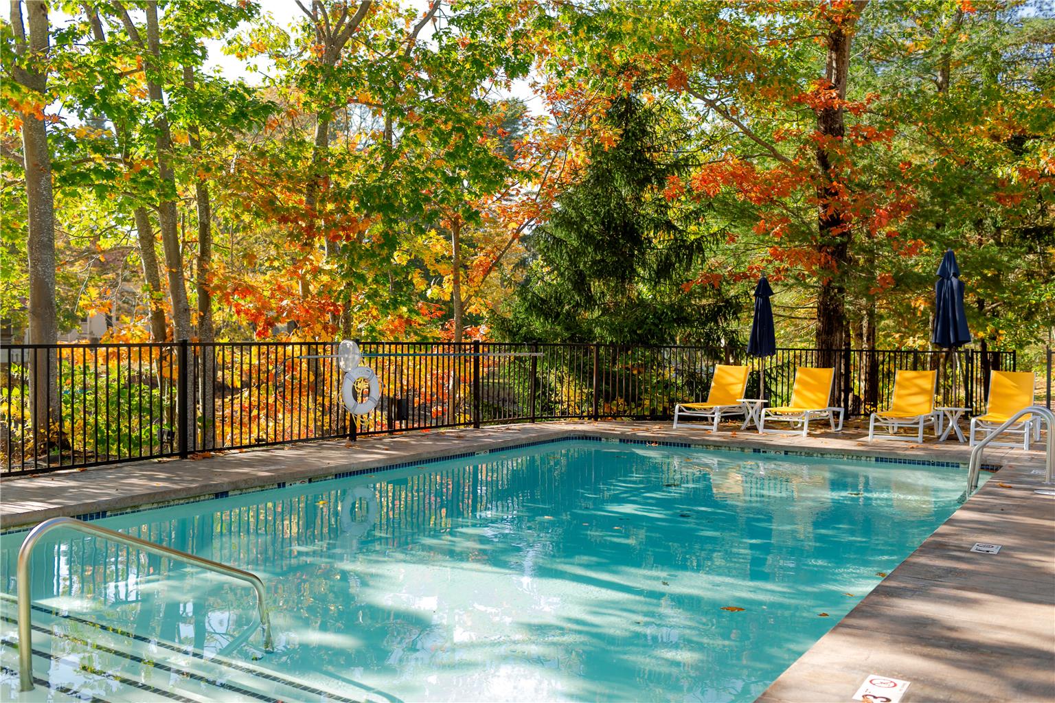 The Lodge at the Cove - photo 5