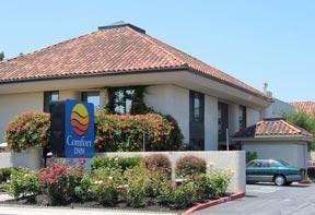 Comfort Inn Sunnyvale - featured photo