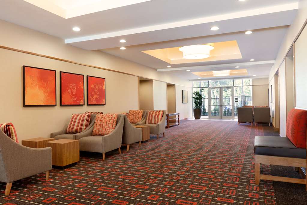 Hyatt Place Houston The Woodlands - photo 37