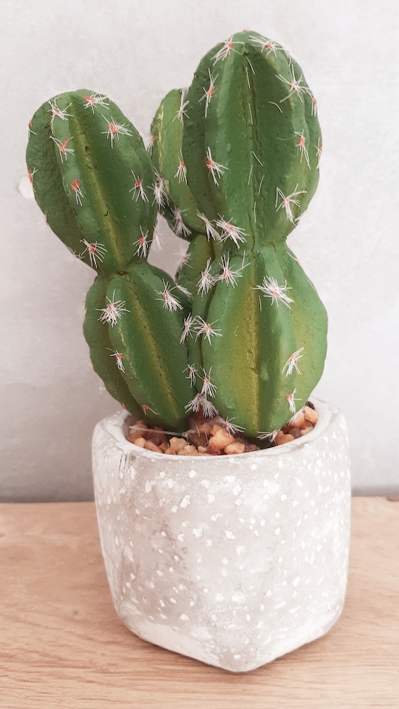 Allegria Nimes in Nimes, France