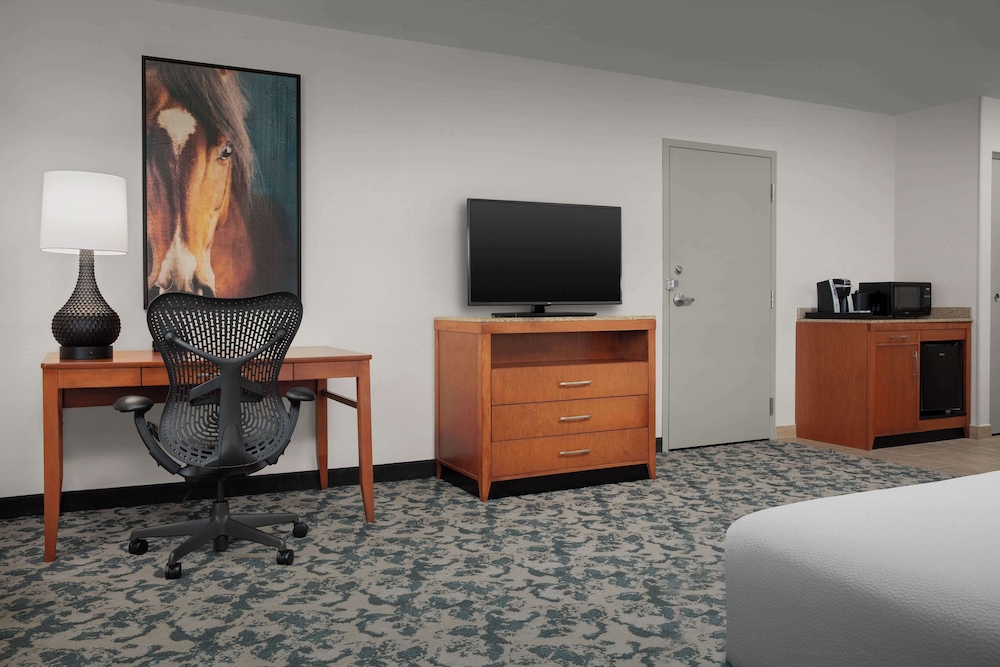 Hilton Garden Inn Fort Worth Medical Center - photo 3