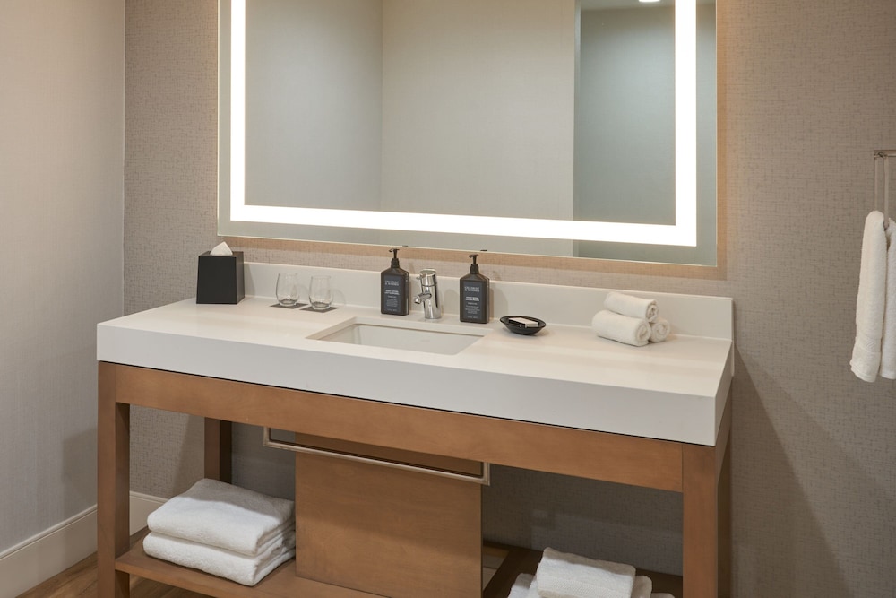 Sheraton Pittsburgh Hotel at Station Square - photo 29