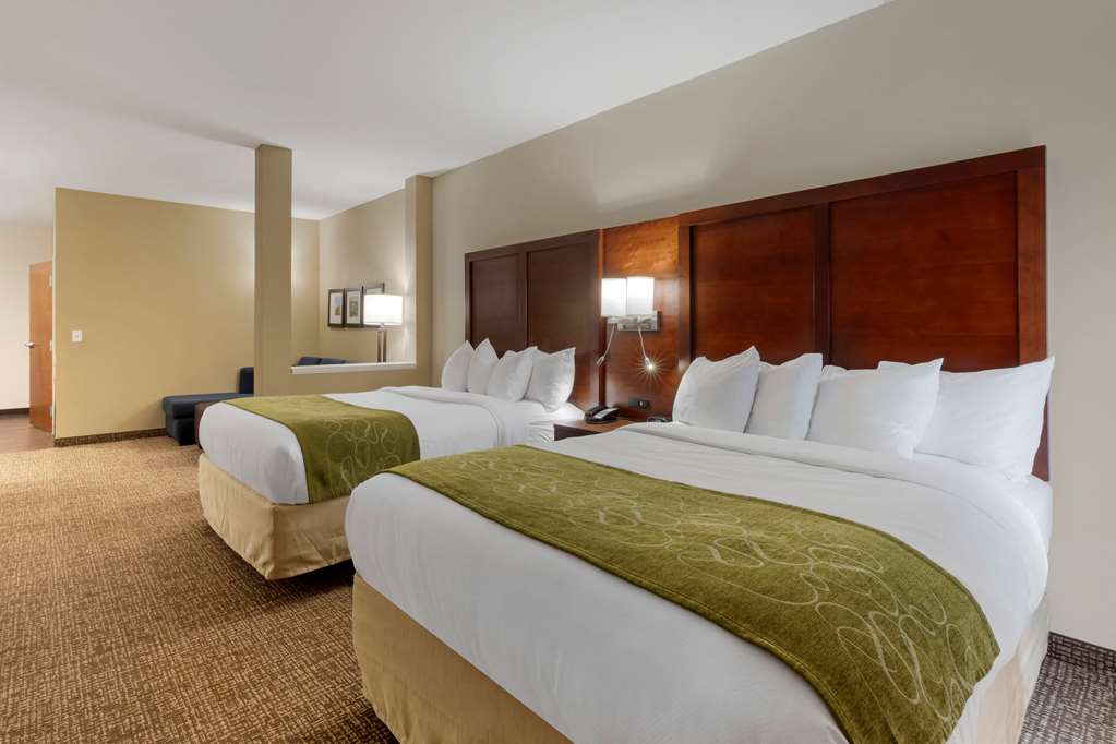 Comfort Suites Piedmont Greenville South - photo 13