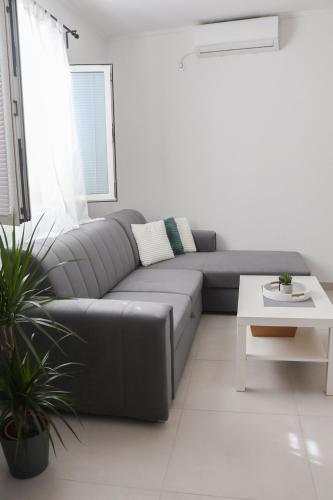Apartman dream