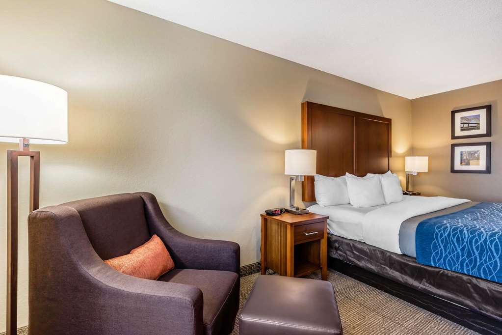 Comfort Inn & Suites Airport American Way - photo 10