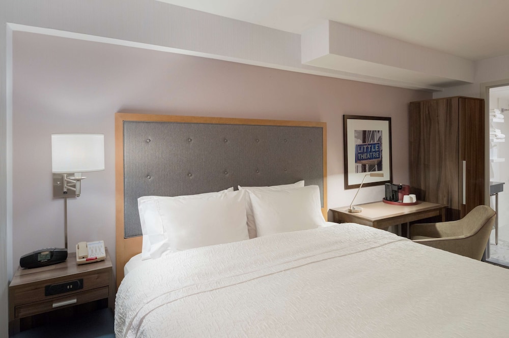 Hampton Inn Madison Square Garden Area Hotel - photo 12
