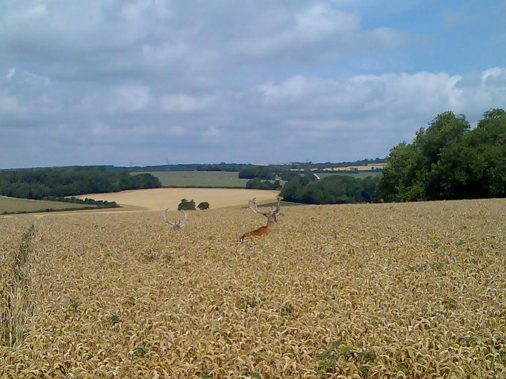 Chilgrove Farm Bed & Breakfast — 4-Star Luxury Hotel in Chichester, United Kingdom