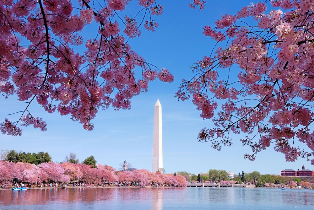 Le Meridien Washington D.C. The Madison - photo 80