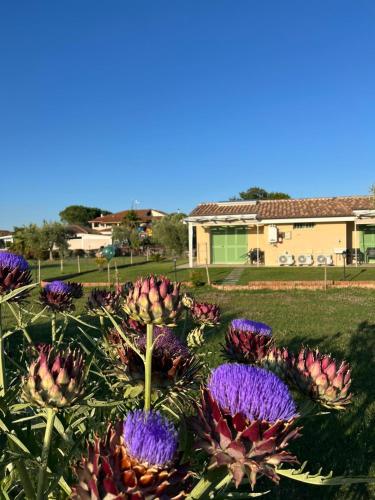 Il giardino di nunzia in Grosseto, Italy