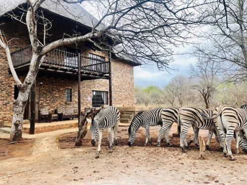 Akunandaba A Bush Retreat in Unknown City, South Africa