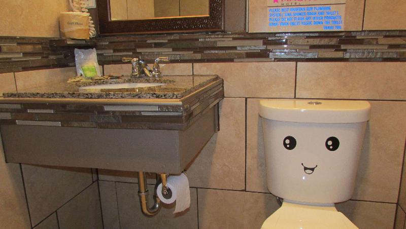 Mountain Star Inn - photo 121
