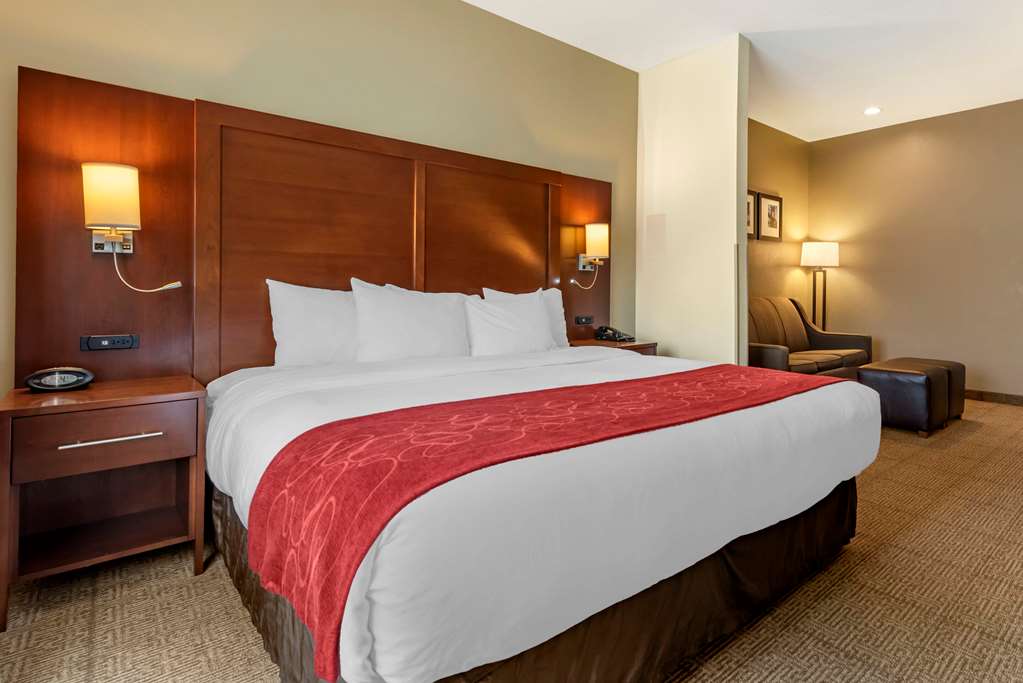 Comfort Suites Mason near Kings Island - photo 7