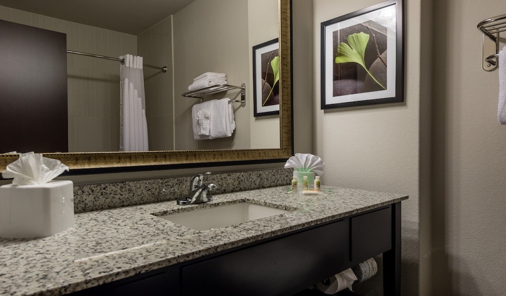 Holiday Inn Austin Airport by IHG - photo 17