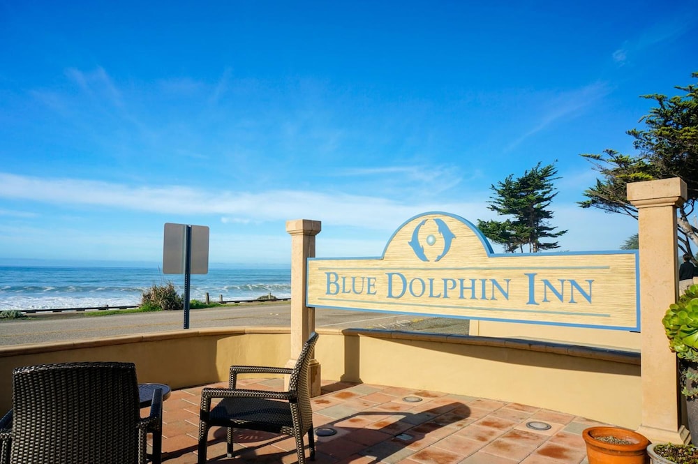 Blue Dolphin Inn - photo 35