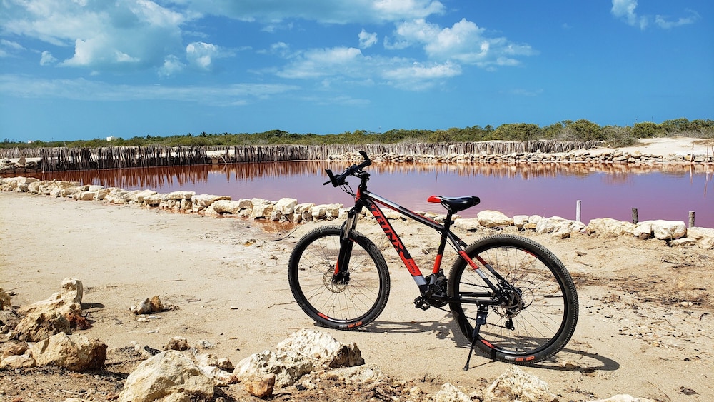 Bicycling