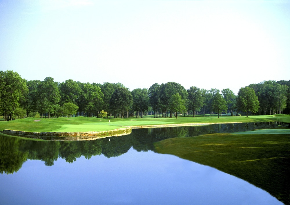 The Grand Resort - photo 67