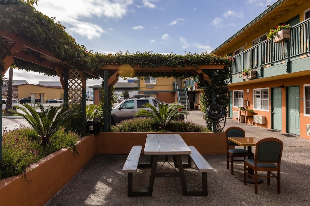 Sand Castle Inn - photo 31