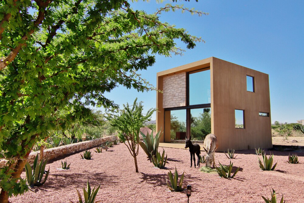Mineral Del Cielo — Pozos