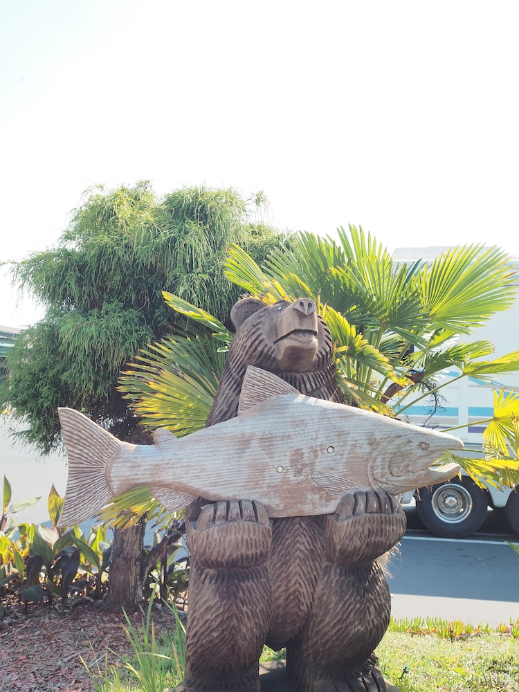 Wild Rivers Motor Lodge - photo 17