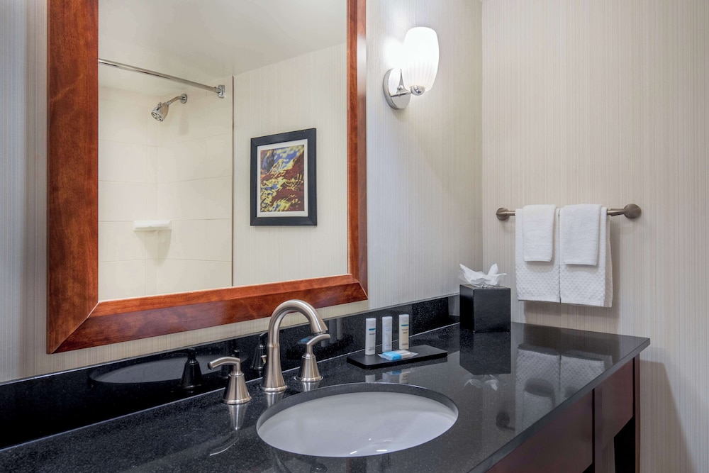 Embassy Suites by Hilton Boston Waltham - photo 41