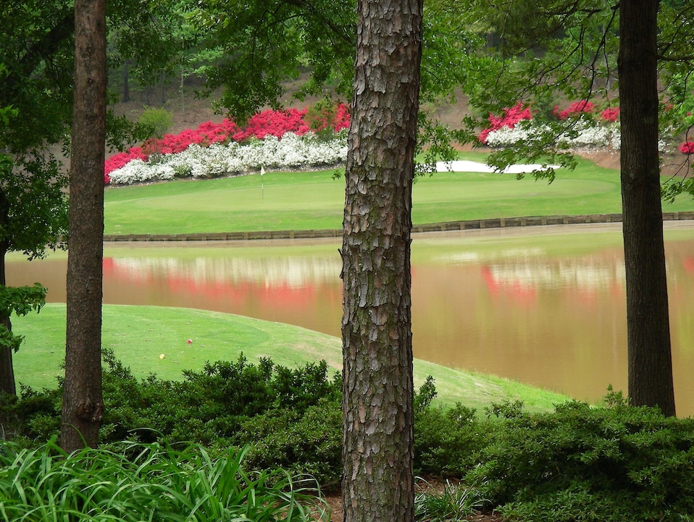 Embassy Suites Greenville Golf Resort & Conference Center - photo 27