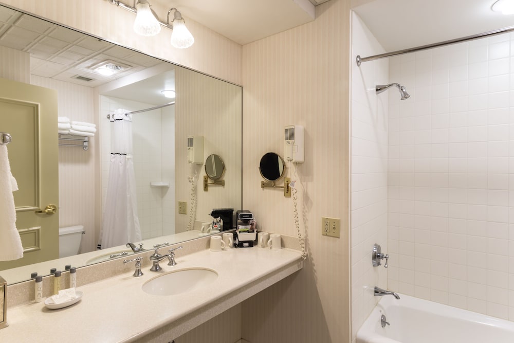 Hotel Winneshiek - photo 8