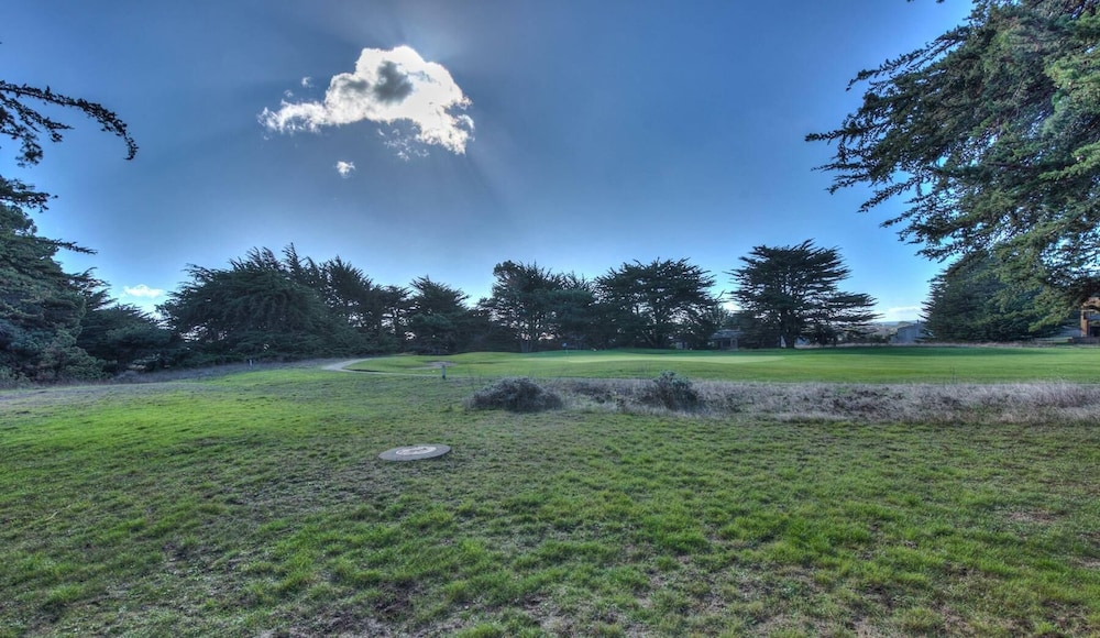 Cypress Meadows - photo 21