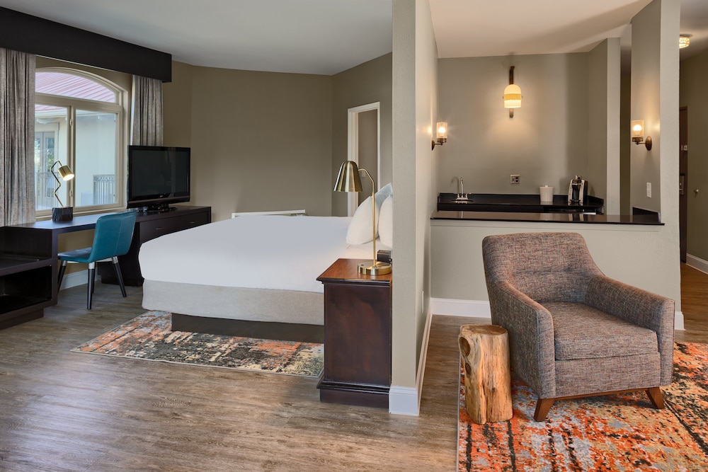 Hotel Indigo San Antonio Riverwalk an IHG Hotel - photo 3