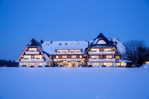 Hotel Reppert in Hinterzarten, Germany