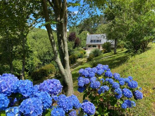 Maison Pen Ar Roz Isolée en bord de mer — 4-Star Luxury Hotel in Telgruc-Sur-Mer, France