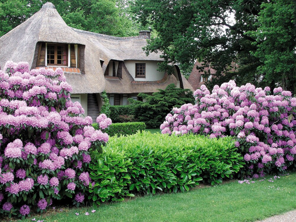 Auberge des Templiers in Paris, France