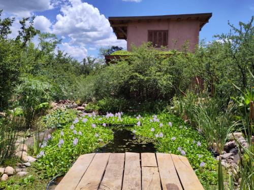 Ecohostel Tay Pichin - last minute hotel in Unknown City