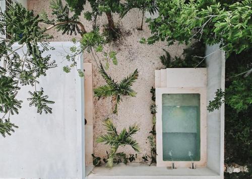 La Sultana Amazing restored house with pool — 4-Star Luxury Hotel in Valladolid, Mexico