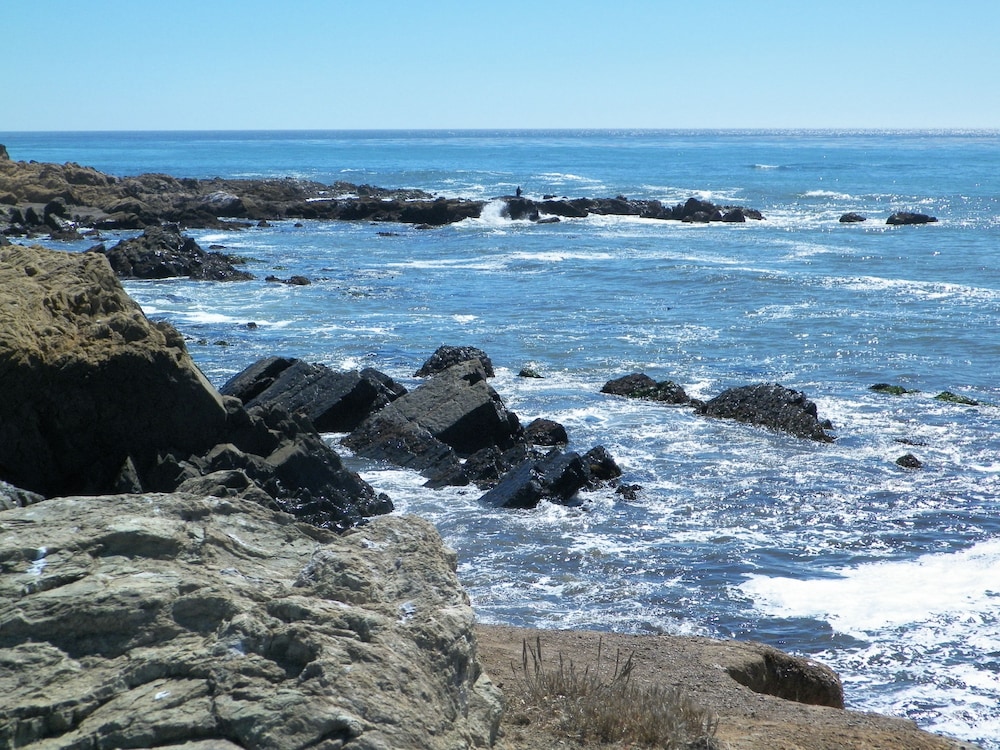 Sea Otter Inn - photo 53