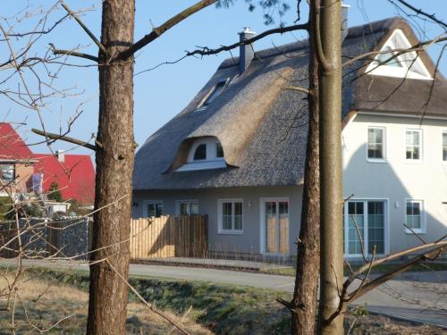 Kleine Seenixe — Zingst