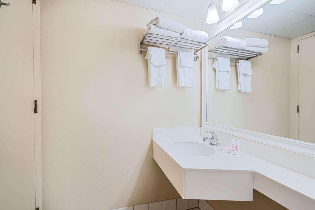 Ramada Hotel & Conference Center by Wyndham Plymouth - photo 16