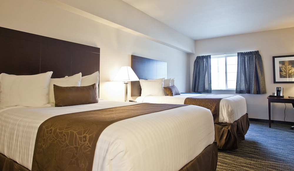 Cobblestone Inn & Suites Boone - photo 21