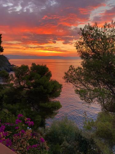 Villa Cokkinis — 4-Star Luxury Hotel in Varazze, Italy