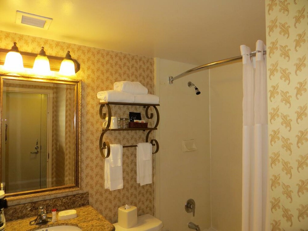 Ramada Dallas North - photo 16
