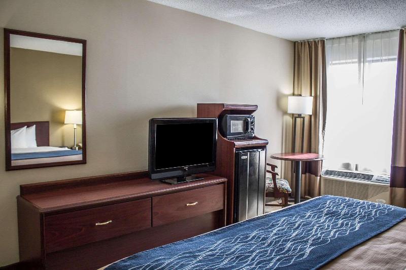 Comfort Inn - photo 24