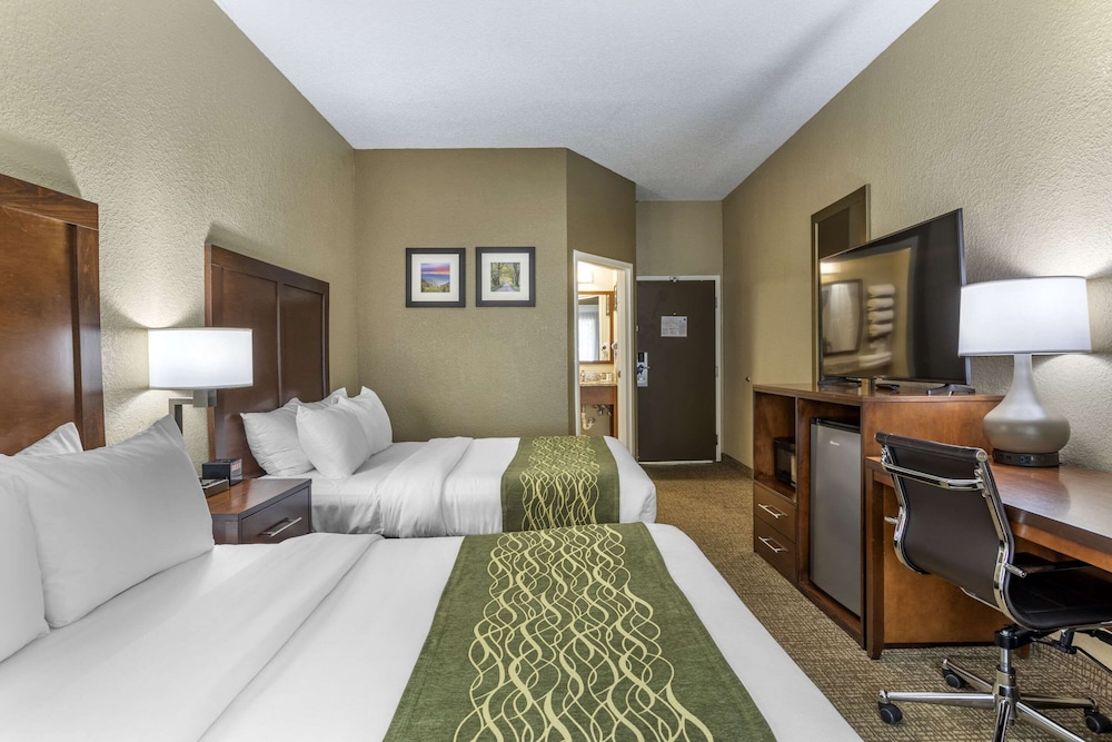 Comfort Inn Kingsport Southeast - photo 18