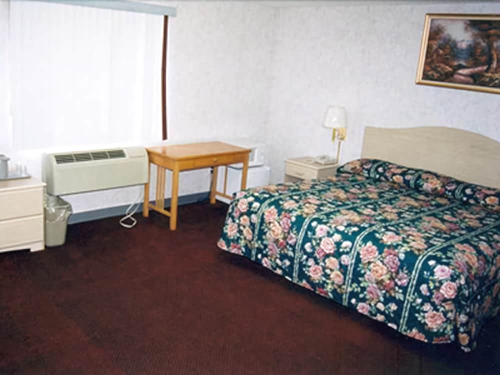 Passport Inn & Suites - photo 8