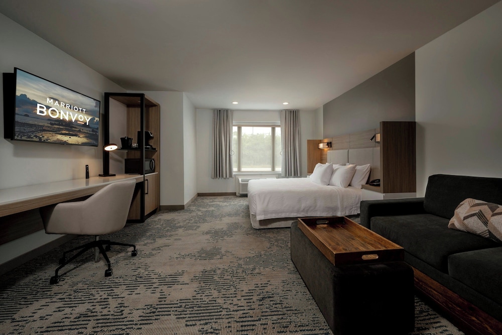 Springhill Suites Houston Brookhollow - photo 4