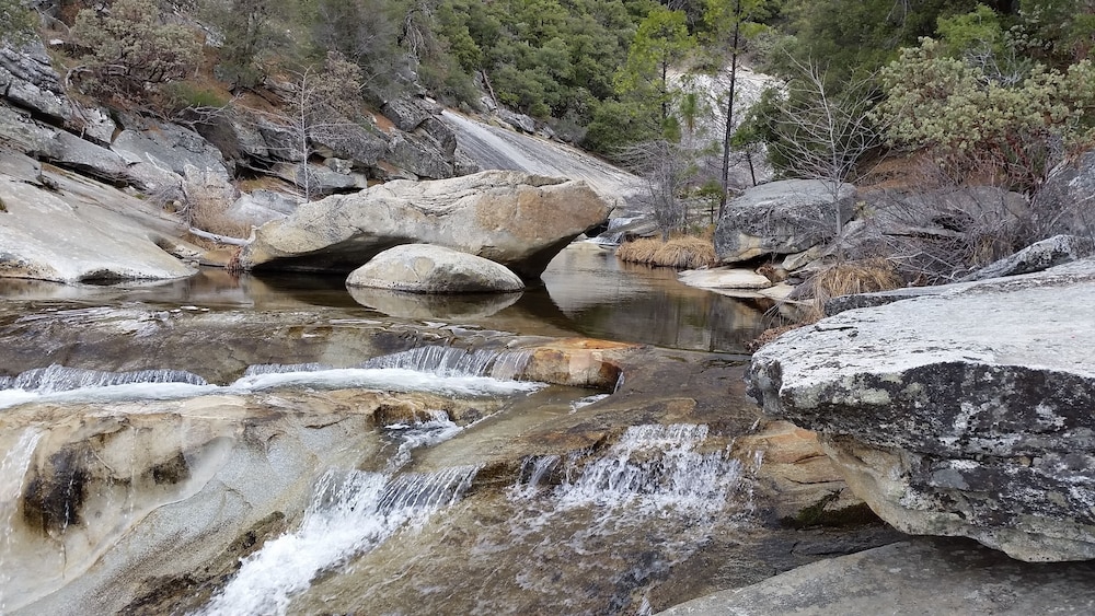 The Pines Resort - photo 47