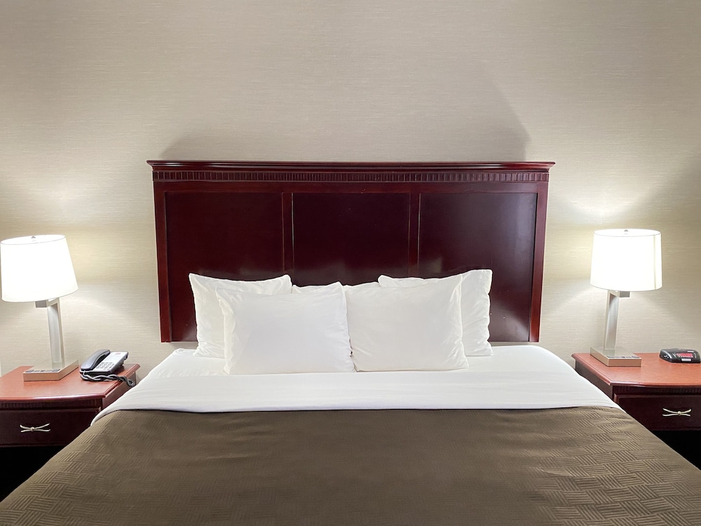 Clarion Inn & Suites Grand Rapids Airport - photo 22